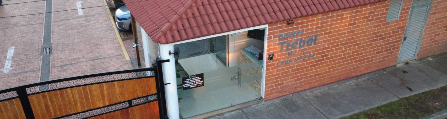 Quintas del trébol Manzana 11